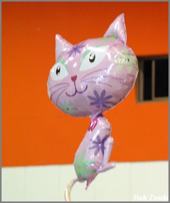 Whimsical Participant